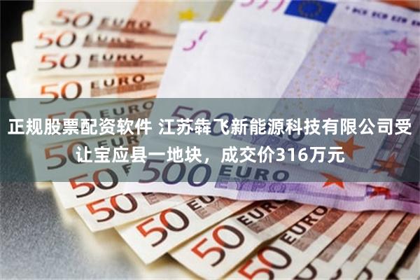 正规股票配资软件 江苏犇飞新能源科技有限公司受让宝应县一地块，成交价316万元
