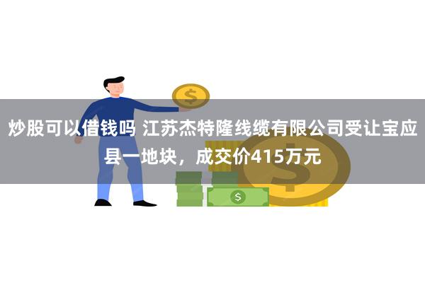 炒股可以借钱吗 江苏杰特隆线缆有限公司受让宝应县一地块，成交价415万元