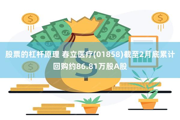股票的杠杆原理 春立医疗(01858)截至2月底累计回购约86.81万股A股