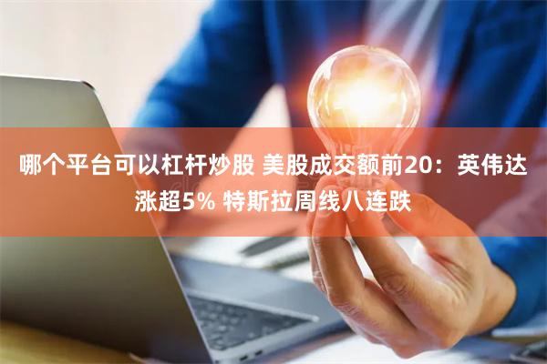 哪个平台可以杠杆炒股 美股成交额前20：英伟达涨超5% 特斯拉周线八连跌