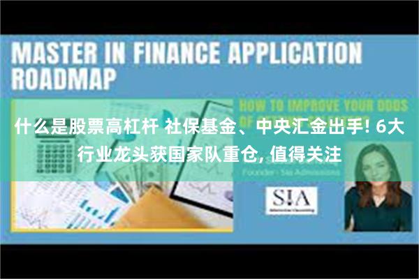 什么是股票高杠杆 社保基金、中央汇金出手! 6大行业龙头获国家队重仓, 值得关注