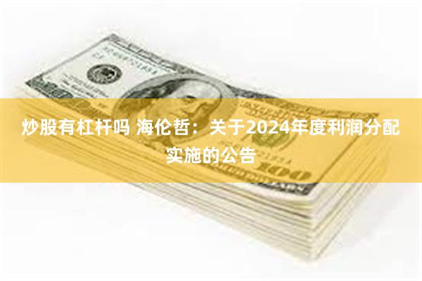 炒股有杠杆吗 海伦哲：关于2024年度利润分配实施的公告