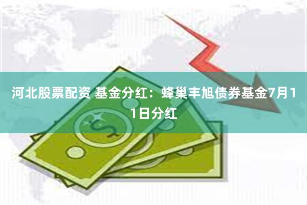 河北股票配资 基金分红：蜂巢丰旭债券基金7月11日分红