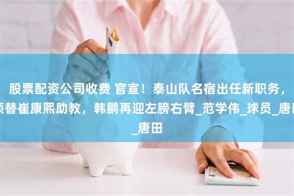 股票配资公司收费 官宣！泰山队名宿出任新职务，顶替崔康熙助教，韩鹏再迎左膀右臂_范学伟_球员_唐田