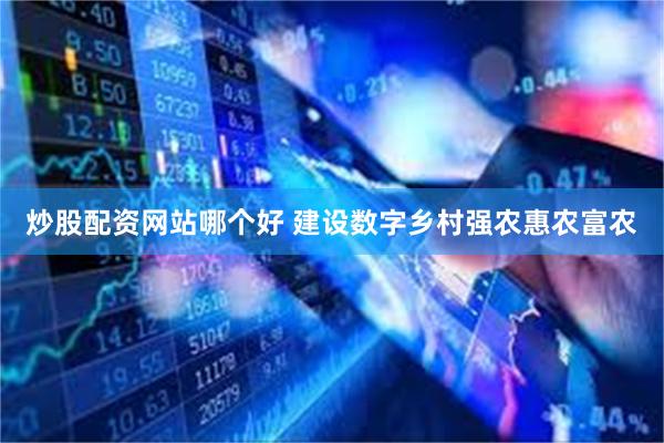 炒股配资网站哪个好 建设数字乡村强农惠农富农