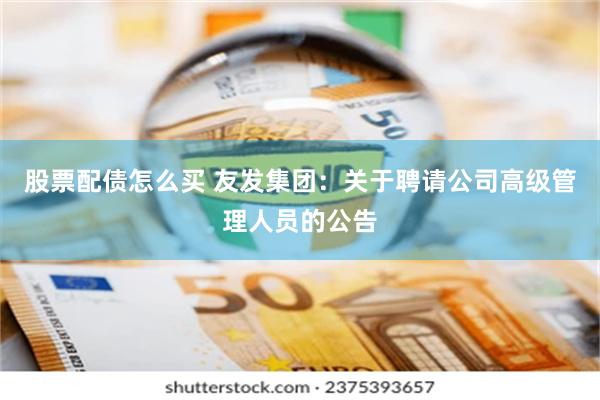 股票配债怎么买 友发集团：关于聘请公司高级管理人员的公告