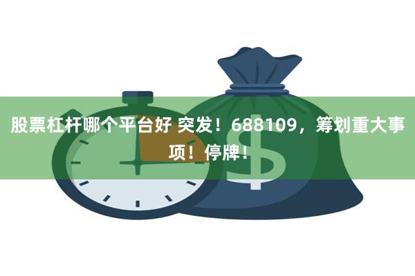 股票杠杆哪个平台好 突发！688109，筹划重大事项！停牌！