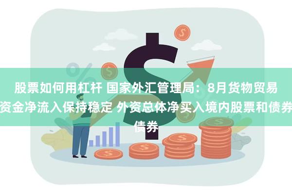 股票如何用杠杆 国家外汇管理局：8月货物贸易资金净流入保持稳定 外资总体净买入境内股票和债券