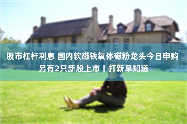 股市杠杆利息 国内软磁铁氧体磁粉龙头今日申购 另有2只新股上市丨打新早知道