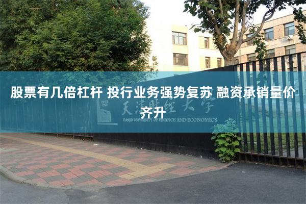 股票有几倍杠杆 投行业务强势复苏 融资承销量价齐升