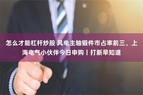 怎么才能杠杆炒股 风电主轴锻件市占率前三、上海电气小伙伴今日申购丨打新早知道