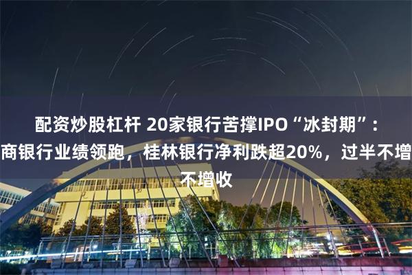 配资炒股杠杆 20家银行苦撑IPO“冰封期”：徽商银行业绩领跑，桂林银行净利跌超20%，过半不增收