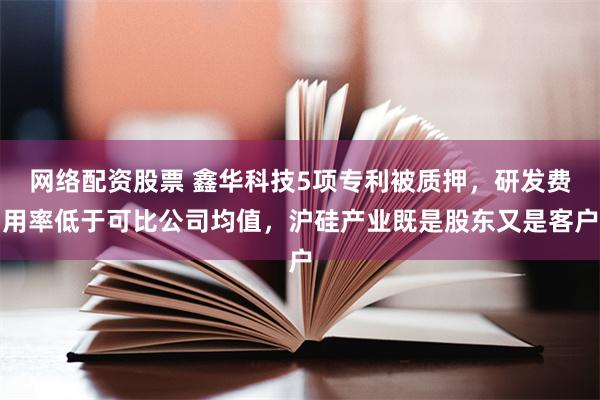 网络配资股票 鑫华科技5项专利被质押，研发费用率低于可比公司均值，沪硅产业既是股东又是客户