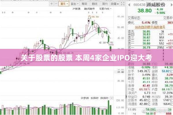 关于股票的股票 本周4家企业IPO迎大考