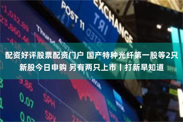 配资好评股票配资门户 国产特种光纤第一股等2只新股今日申购 另有两只上市丨打新早知道