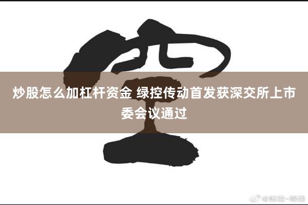 炒股怎么加杠杆资金 绿控传动首发获深交所上市委会议通过