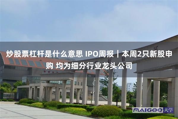 炒股票杠杆是什么意思 IPO周报｜本周2只新股申购 均为细分行业龙头公司