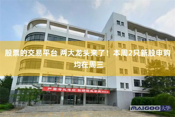 股票的交易平台 两大龙头来了！本周2只新股申购 均在周三