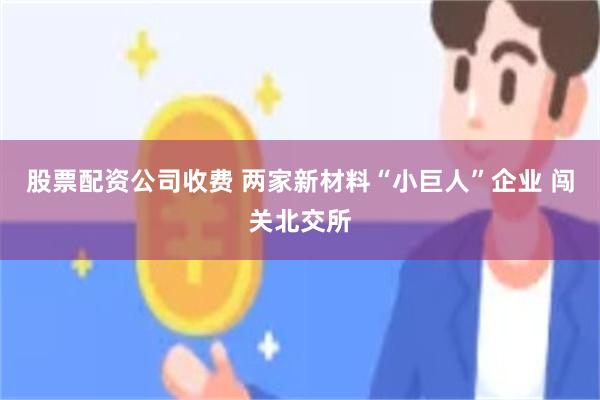 股票配资公司收费 两家新材料“小巨人”企业 闯关北交所