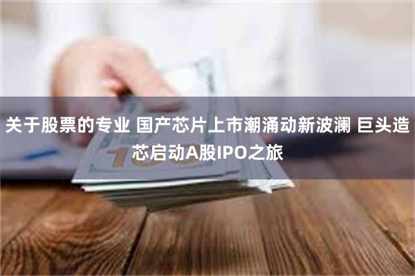 关于股票的专业 国产芯片上市潮涌动新波澜 巨头造芯启动A股IPO之旅