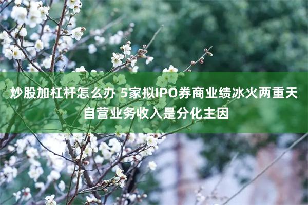 炒股加杠杆怎么办 5家拟IPO券商业绩冰火两重天 自营业务收入是分化主因