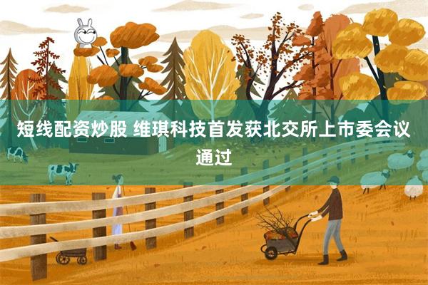 短线配资炒股 维琪科技首发获北交所上市委会议通过