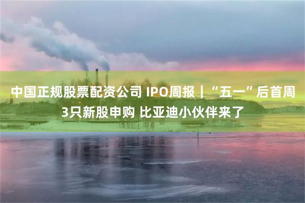 中国正规股票配资公司 IPO周报｜“五一”后首周3只新股申购 比亚迪小伙伴来了