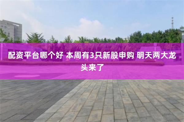 配资平台哪个好 本周有3只新股申购 明天两大龙头来了
