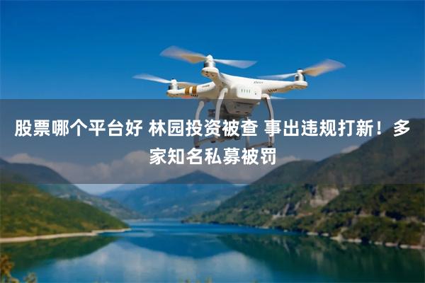 股票哪个平台好 林园投资被查 事出违规打新！多家知名私募被罚