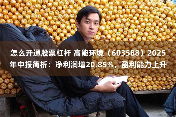 怎么开通股票杠杆 高能环境（603588）2025年中报简析：净利润增20.85%，盈利能力上升