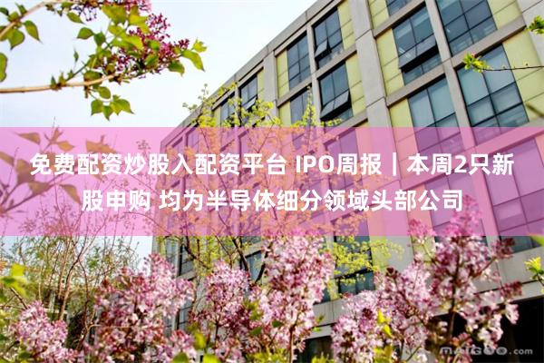 免费配资炒股入配资平台 IPO周报｜本周2只新股申购 均为半导体细分领域头部公司