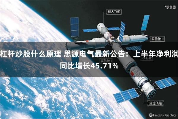 杠杆炒股什么原理 思源电气最新公告：上半年净利润同比增长45.71%