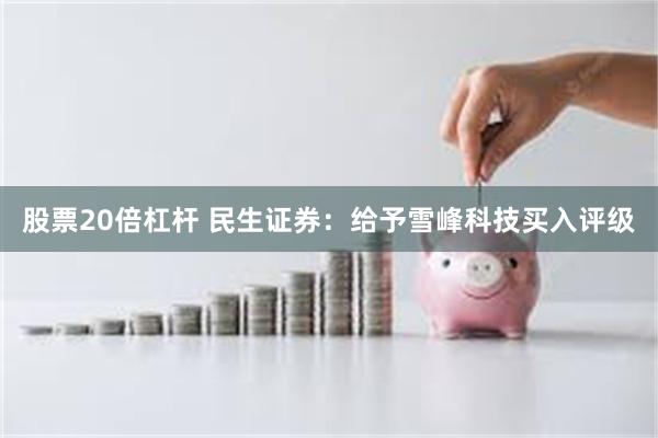 股票20倍杠杆 民生证券：给予雪峰科技买入评级