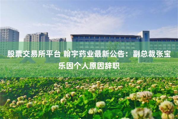 股票交易所平台 翰宇药业最新公告：副总裁张宝乐因个人原因辞职