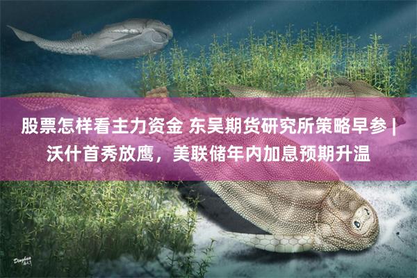 股票怎样看主力资金 东吴期货研究所策略早参 |沃什首秀放鹰，美联储年内加息预期升温