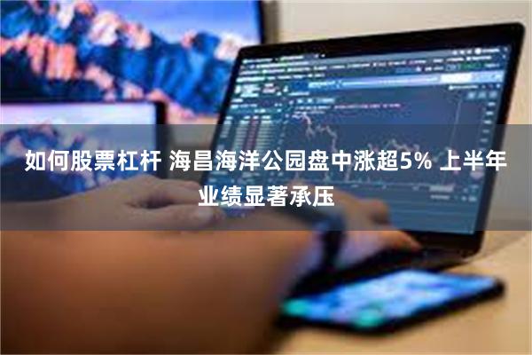 如何股票杠杆 海昌海洋公园盘中涨超5% 上半年业绩显著承压