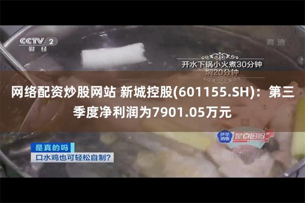 网络配资炒股网站 新城控股(601155.SH)：第三季度净利润为7901.05万元
