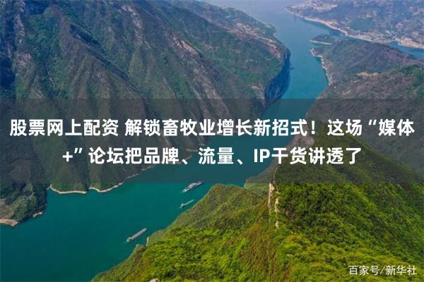 股票网上配资 解锁畜牧业增长新招式！这场“媒体+”论坛把品牌、流量、IP干货讲透了