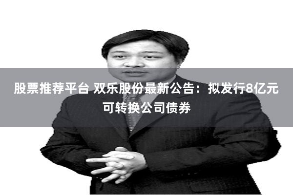 股票推荐平台 双乐股份最新公告：拟发行8亿元可转换公司债券