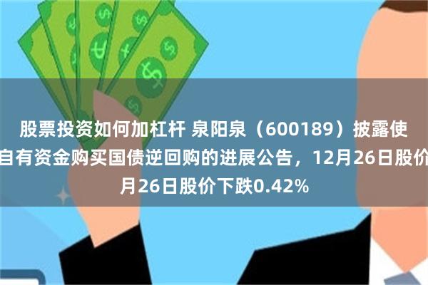 股票投资如何加杠杆 泉阳泉（600189）披露使用暂时闲置自有资金购买国债逆回购的进展公告，12月26日股价下跌0.42%