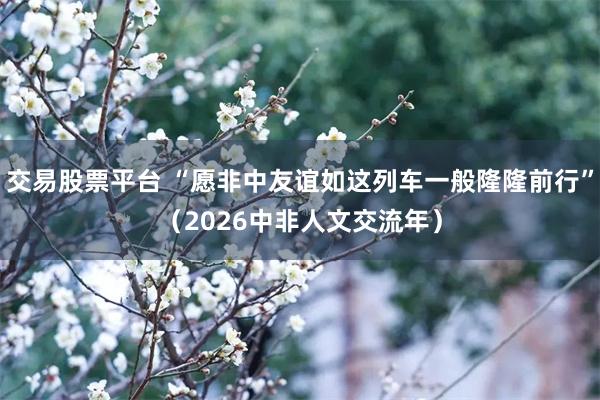 交易股票平台 “愿非中友谊如这列车一般隆隆前行”（2026中非人文交流年）