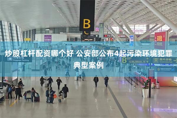 炒股杠杆配资哪个好 公安部公布4起污染环境犯罪典型案例