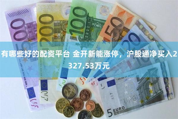 有哪些好的配资平台 金开新能涨停，沪股通净买入2327.53万元