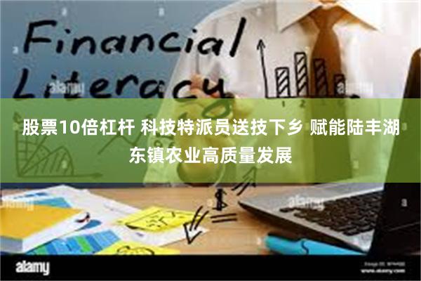 股票10倍杠杆 科技特派员送技下乡 赋能陆丰湖东镇农业高质量发展