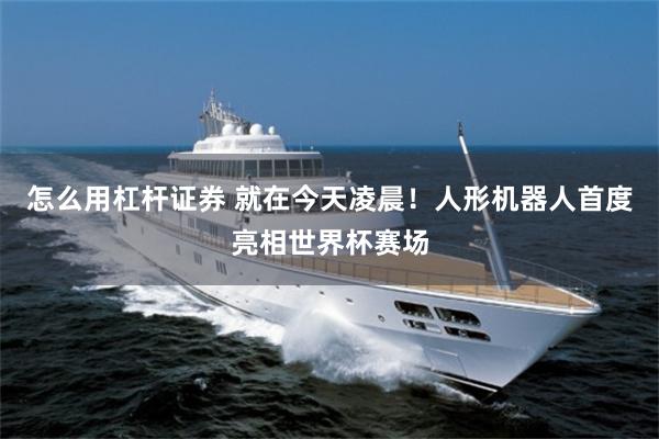怎么用杠杆证券 就在今天凌晨！人形机器人首度亮相世界杯赛场