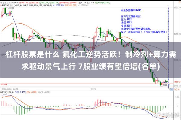 杠杆股票是什么 氟化工逆势活跃！制冷剂+算力需求驱动景气上行 7股业绩有望倍增(名单)
