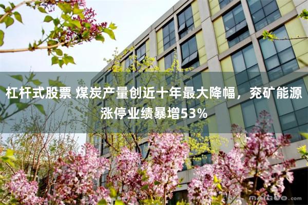 杠杆式股票 煤炭产量创近十年最大降幅，兖矿能源涨停业绩暴增53%
