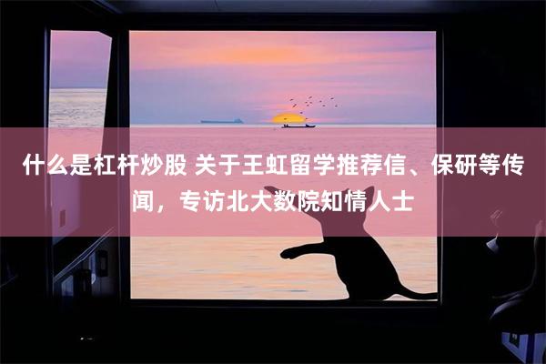 什么是杠杆炒股 关于王虹留学推荐信、保研等传闻，专访北大数院知情人士
