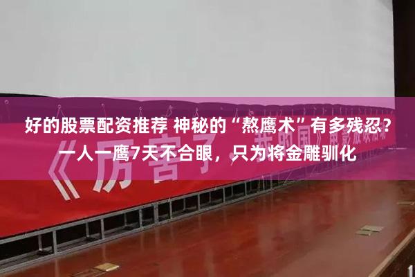 好的股票配资推荐 神秘的“熬鹰术”有多残忍？一人一鹰7天不合眼，只为将金雕驯化