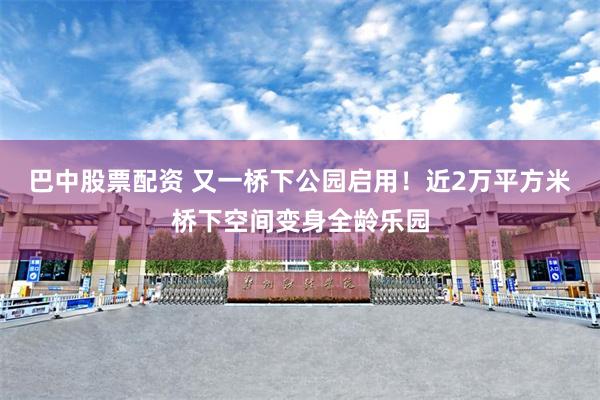 巴中股票配资 又一桥下公园启用！近2万平方米桥下空间变身全龄乐园